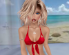 Red Canadian Halter