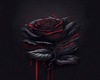 BackA- Blood Rose