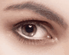 White Liner