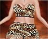 BBW New Age Swimwear