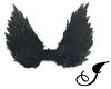 Angel wings - Black