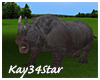 Jungle Park Rhino