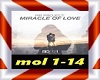 R&R Project-Miracle of..