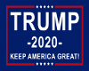 ~Trump 2020 Yard Sign~