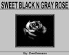 SWEET BLACK N GRAY ROSE