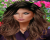Mirla chesnut brown