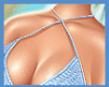 Desi Blue Bikini Set