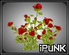 iPuNK - Rose Bush 2