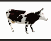 Cow animated