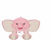 Baby Elephant