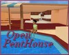 Modern PentHouse Open