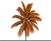 anim palm tree