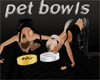 pet bowls gold/silver