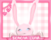SL | Bwaby Blob