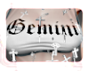 gemini