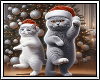 🎄Xmas Dancing Cats BG