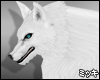 ! White Werewolf F