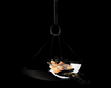 ~ScB~Teal Animated Swing