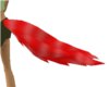 Red Striped Tail v2