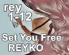 Set You Free REYKO
