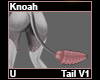 Knoah Tail V1
