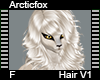 Arcticfox Hair F V1