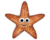 starfish with actions