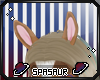 :SP: Rain Ears V1