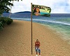Hawaii Aloha Flag