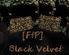 [FtP] Black Velvet