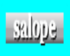 salope sticker