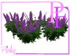 Animated Prpl Lupines