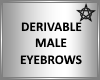 DERIVABLE EYEBROWS (M)