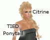 TIED Ponytail - Citrine