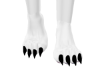 Puppy feet furry
