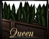 !Q A Plant Divider