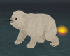 Pollar Teddy Bear
