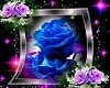 blue rose boat