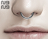 ╋━septum !