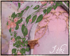 -I- D.C. Roses Arch 4
