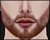 Beard Add On Ginger MH