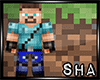 [SHA] Adventurer Steve 