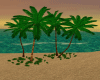 4 Coconut Trees