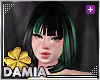 [D] Shamrock Bundle F