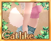 |CAT| Cream Bunny Tail