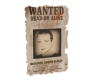 Wanted Poster