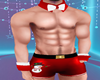Christmas Sexy Stripper