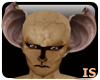 (IS)Vampire Bat Head M