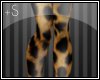 +S Cheetah Leggings