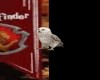 hedwig harry's owl